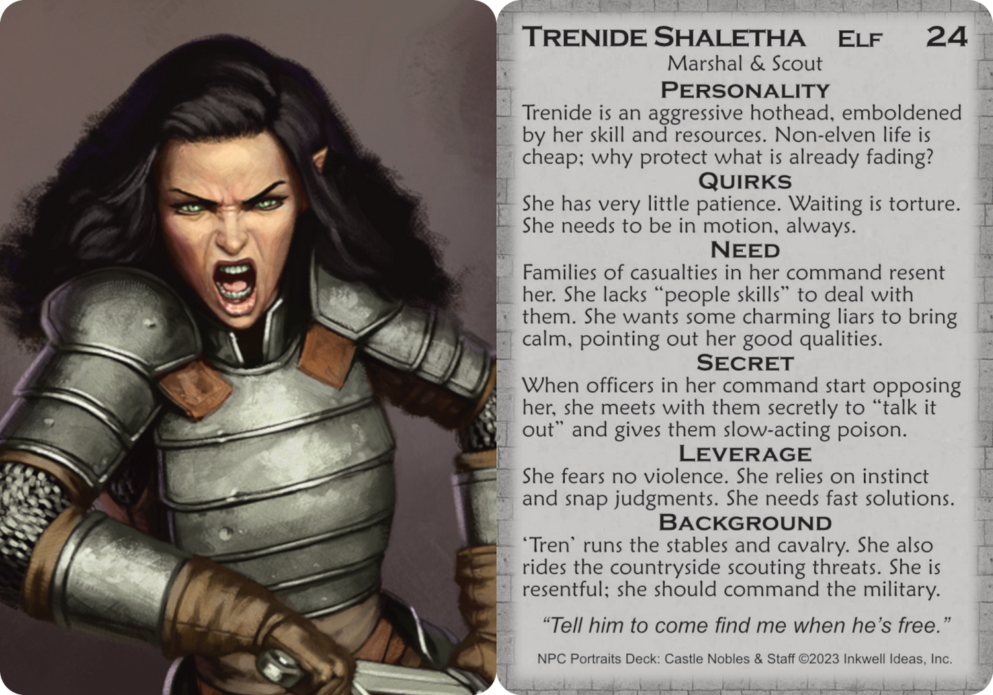 NPC Portraits Deck: Castle Nobles & Staff