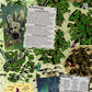 Hexploration Kit Deluxe: Map Tiles & 7 Inspiration Decks