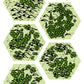 Hexploration Decks: Hex Minimap Tiles
