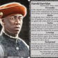 NPC Portraits Deck: Quest Guardians